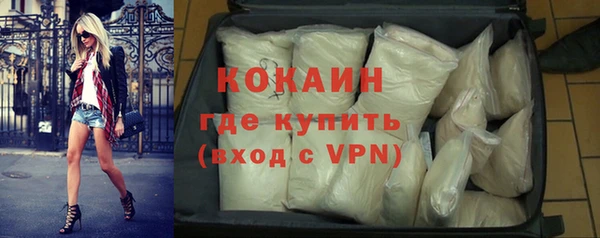 стаф Дмитровск