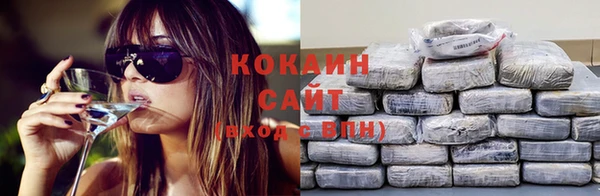стаф Дмитровск