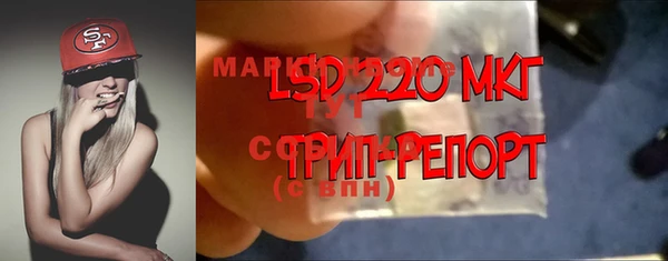 стаф Дмитровск