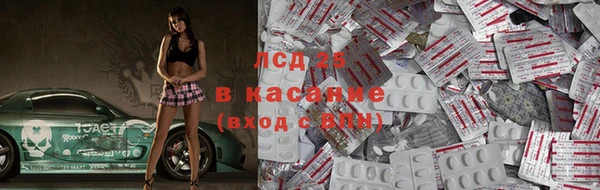 стаф Дмитровск