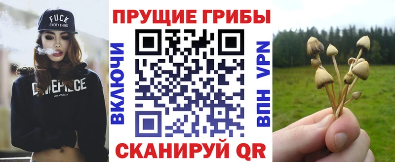 Галлюциногенные грибы Psilocybe  Купить  Красноуфимск 